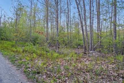 Timberland Property for sale in Penobscot County, Maine