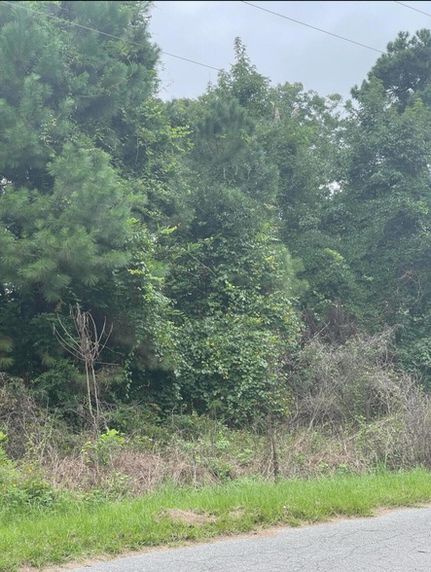 Land for sale in Dorchester County, South Carolina