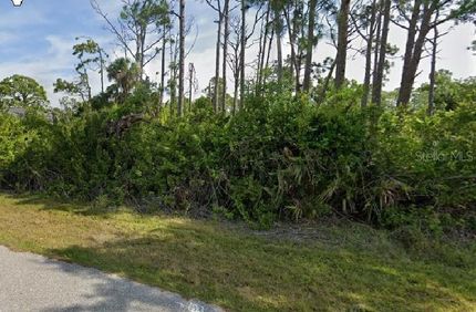 Undeveloped Land for sale in Charlotte County, Florida