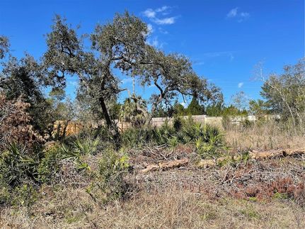 Homesite for sale in Pasco County, Florida