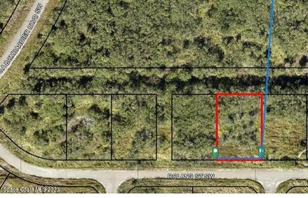 Undeveloped Land for sale in Brevard County, Florida