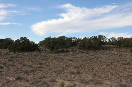 Farm and Ranch for sale in Apache County, Arizona