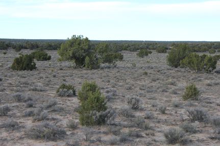 Farm and Ranch for sale in Apache County, Arizona