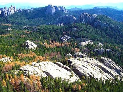 Land for sale in Custer County, South Dakota