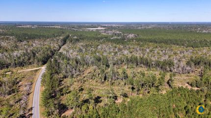 Timberland Property for sale in Bacon County, Georgia