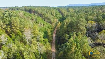 Recreational Property for sale in Gordon County, Georgia
