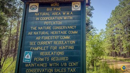 Timberland Property in Calhoun County, Arkansas