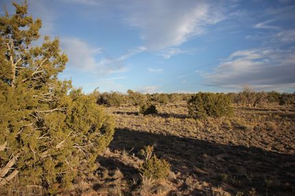 Farm and Ranch for sale in Apache County, Arizona