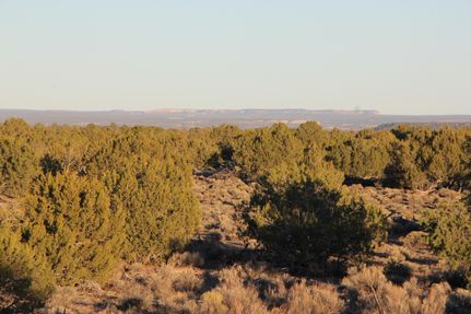 Horse Property for sale in Apache County, Arizona