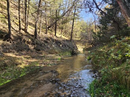 Timberland Property for sale in Brown County, Nebraska