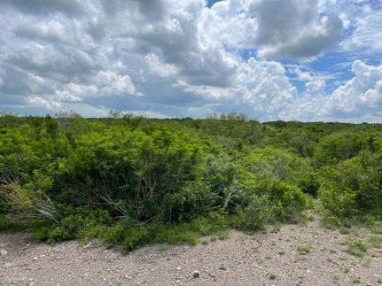 Land for sale in Duval County, Texas