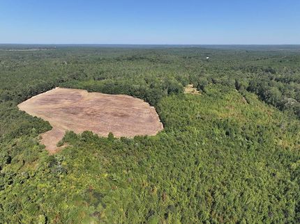 Recreational Property for sale in Lamar County, Alabama