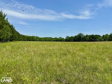 Timberland Property for sale in Lowndes County, Alabama