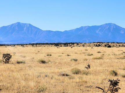 Undeveloped Land for sale in Huerfano County, Colorado