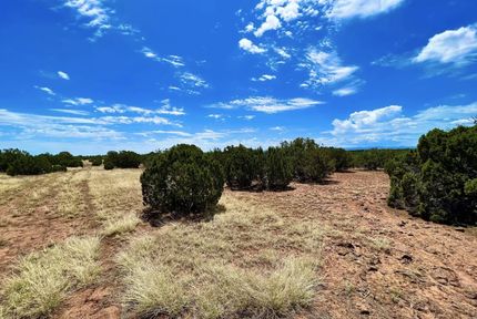 Undeveloped Land for sale in Apache County, Arizona