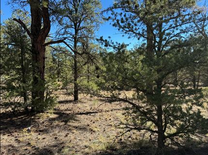Farm and Ranch for sale in Cibola County, New Mexico