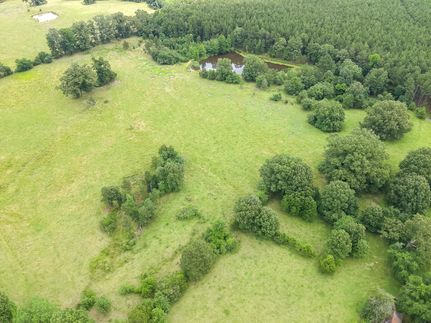 Land for sale in Drew County, Arkansas