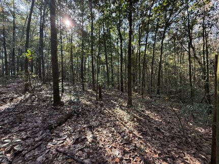 Land for sale in Mobile County, Alabama