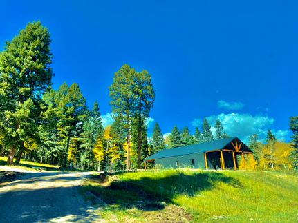 Timberland Property for sale in Colfax County, New Mexico