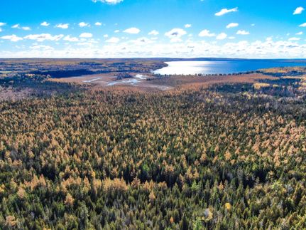 Land for sale in Alcona County, Michigan