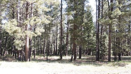 Undeveloped Land for sale in Colfax County, New Mexico