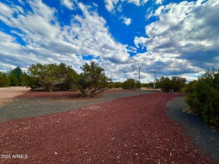 Land for sale in Navajo County, Arizona
