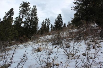 Undeveloped Land for sale in Clear Creek County, Colorado