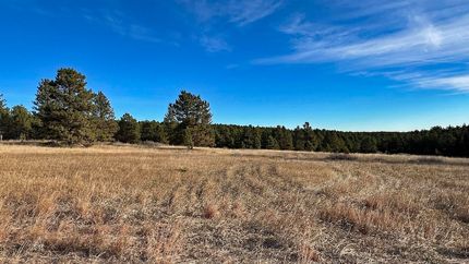 Land for sale in Custer County, South Dakota