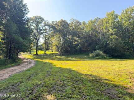 Timberland Property for sale in Pike County, Mississippi