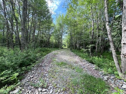 Undeveloped Land for sale in Penobscot County, Maine