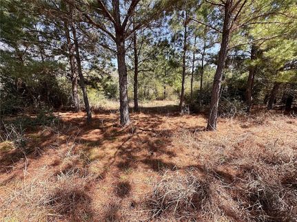 Undeveloped Land for sale in Bastrop County, Texas