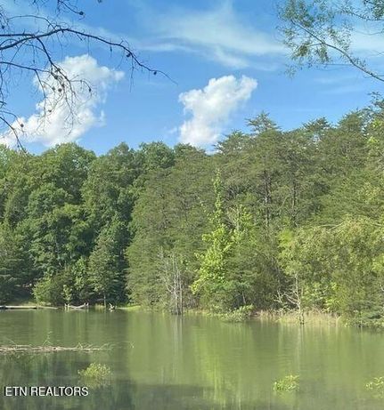 Timberland Property for sale in Sevier County, Tennessee