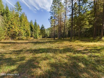 Undeveloped Land for sale in Shoshone County, Idaho