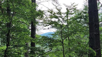 Farm and Ranch for sale in Polk County, Tennessee