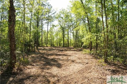 Land for sale in Bryan County, Georgia