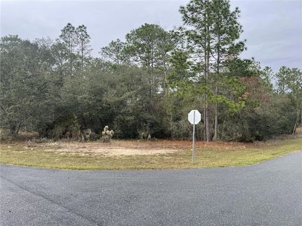 Homesite for sale in Citrus County, Florida