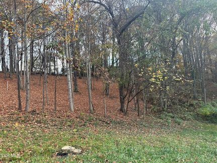 Land for sale in Greene County, Tennessee