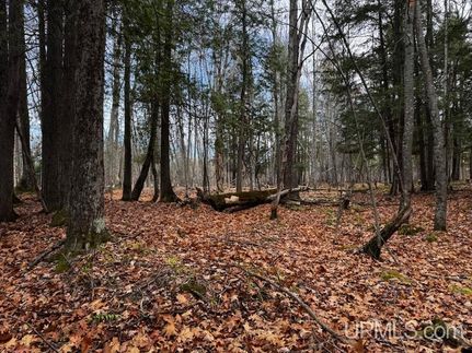 Farm and Ranch for sale in Baraga County, Michigan