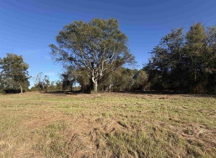 Undeveloped Land for sale in Bowie County, Texas