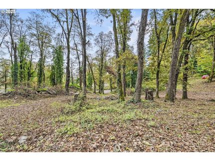 Undeveloped Land for sale in Columbia County, Oregon