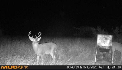 Timberland Property for sale in Briscoe County, Texas