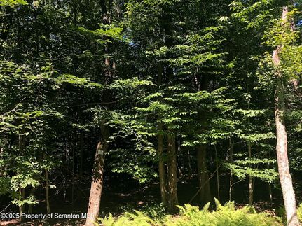 Undeveloped Land for sale in Lackawanna County, Pennsylvania