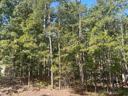 Recreational Property for sale in Saline County, Arkansas