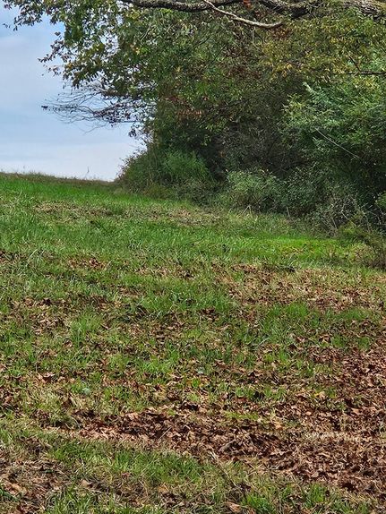 Farm and Ranch for sale in Belmont County, Ohio