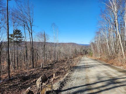 Land for sale in Aroostook County, Maine