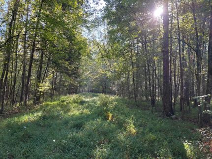Recreational Property for sale in Webster County, Mississippi