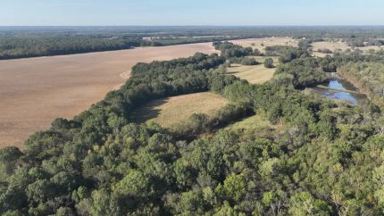 Land for sale in Oktibbeha County, Mississippi