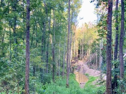 Farm and Ranch for sale in Henry County, Tennessee