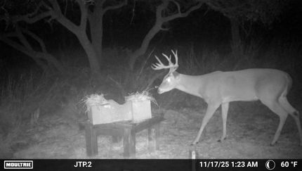 Undeveloped Land for sale in Lampasas County, Texas