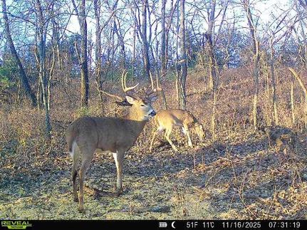 Undeveloped Land for sale in Osage County, Kansas